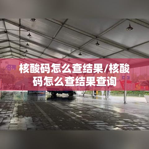 核酸码怎么查结果/核酸码怎么查结果查询