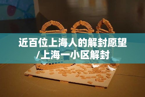 近百位上海人的解封愿望/上海一小区解封